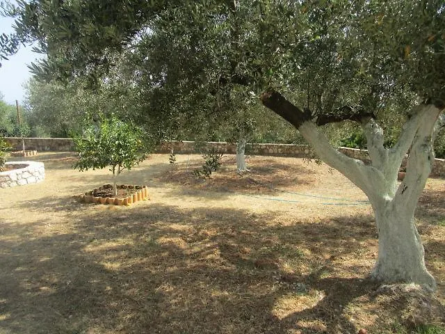 Apsedes Studios Trapezaki  0*, Trapezaki (Kefalonia) Griechenland