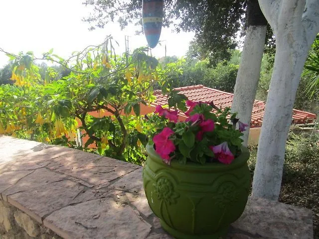 Apsedes Studios Trapezaki  0*, Trapezaki (Kefalonia)